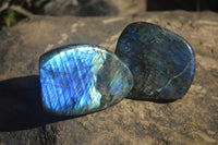 Polished Labradorite Standing Free Forms  x 6 From Tulear, Madagascar - Toprock Gemstones and Minerals 