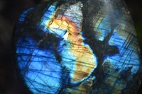Polished Labradorite Standing Free Forms  x 6 From Tulear, Madagascar - Toprock Gemstones and Minerals 