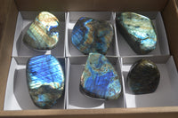 Polished Labradorite Standing Free Forms  x 6 From Tulear, Madagascar - Toprock Gemstones and Minerals 