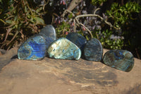 Polished Labradorite Standing Free Forms  x 6 From Tulear, Madagascar - Toprock Gemstones and Minerals 