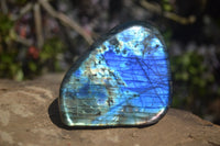 Polished Labradorite Standing Free Forms  x 6 From Tulear, Madagascar - Toprock Gemstones and Minerals 