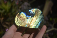 Polished Labradorite Standing Free Forms  x 6 From Tulear, Madagascar - Toprock Gemstones and Minerals 