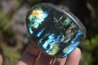 Polished Labradorite Standing Free Forms  x 6 From Tulear, Madagascar - Toprock Gemstones and Minerals 