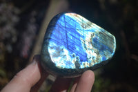 Polished Labradorite Standing Free Forms  x 6 From Tulear, Madagascar - Toprock Gemstones and Minerals 