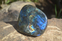 Polished Labradorite Standing Free Forms  x 6 From Tulear, Madagascar - Toprock Gemstones and Minerals 