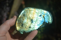 Polished Labradorite Standing Free Forms  x 6 From Tulear, Madagascar - Toprock Gemstones and Minerals 