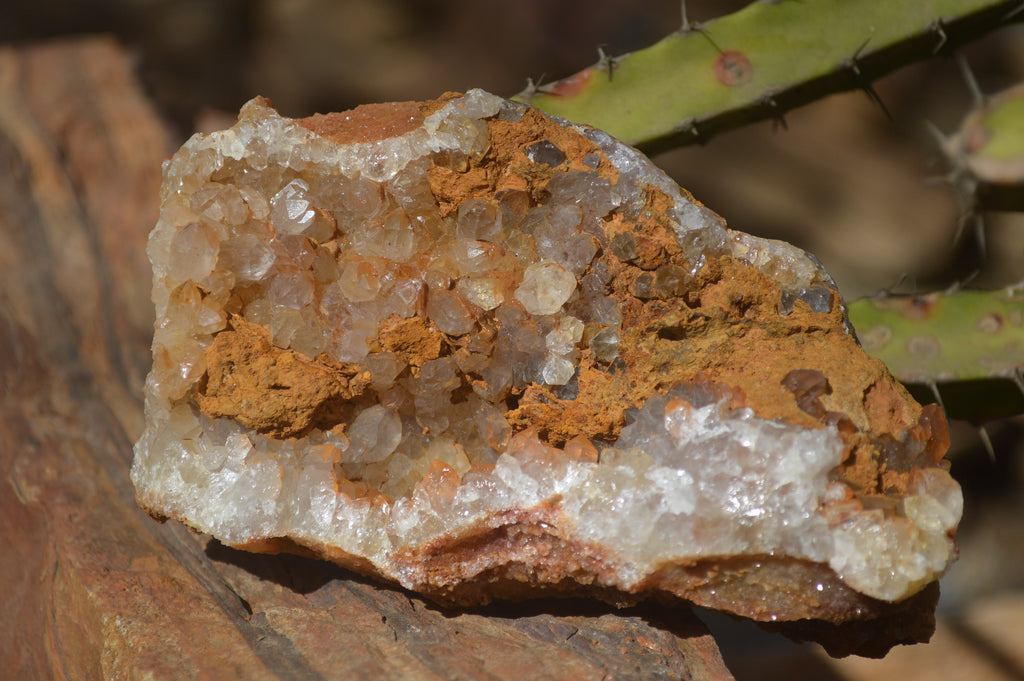 Natural Golden Limonite Quartz Clusters x 6 From Zambia - Toprock Gemstones and Minerals 