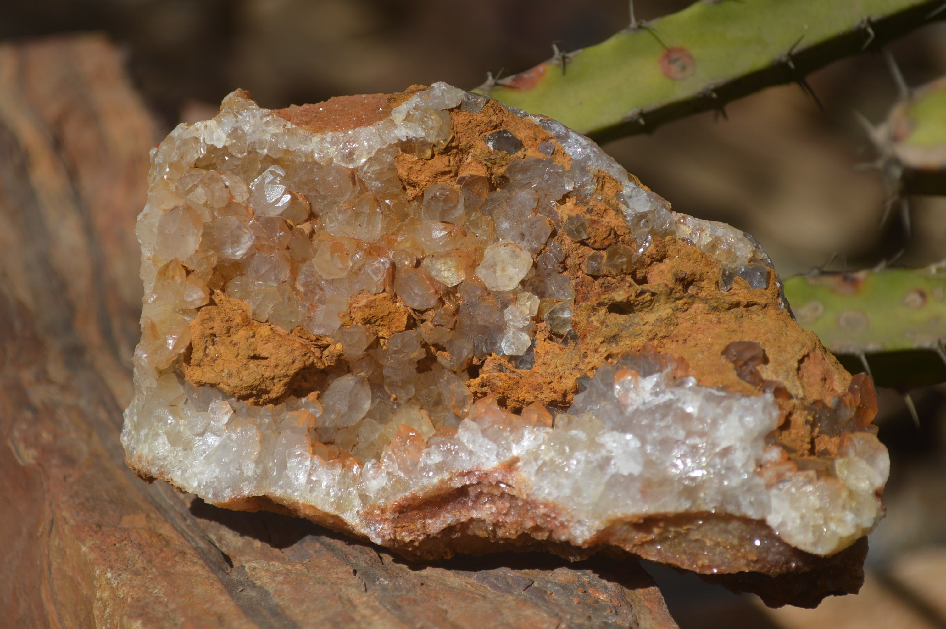 Natural Golden Limonite Quartz Clusters x 6 From Zambia - Toprock Gemstones and Minerals 
