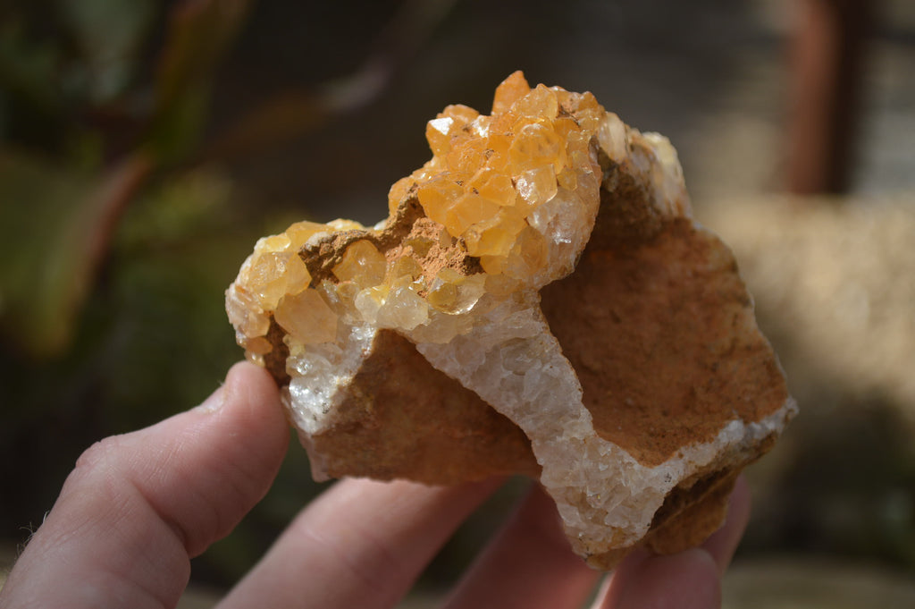 Natural Golden Limonite Quartz Clusters x 6 From Zambia - Toprock Gemstones and Minerals 