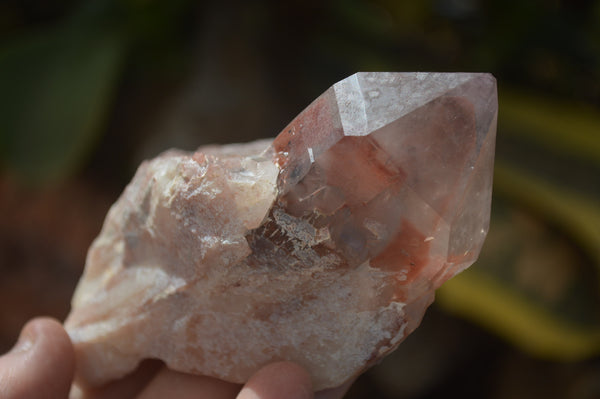 Natural Red Hematoid Quartz Specimens x 4 From Karoi, Zimbabwe - Toprock Gemstones and Minerals 