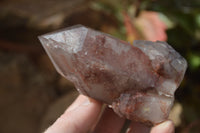 Natural Red Hematoid Quartz Specimens x 4 From Karoi, Zimbabwe - Toprock Gemstones and Minerals 