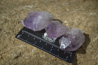 Natural Jacaranda Amethyst Crystals x 35 From Mumbwe, Zambia - Toprock Gemstones and Minerals 