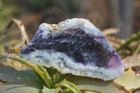 Polished One Side Polished Watermelon Fluorite Pieces  x 6 From Uis, Namibia - Toprock Gemstones and Minerals 