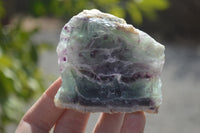 Polished One Side Polished Watermelon Fluorite Pieces  x 6 From Uis, Namibia - Toprock Gemstones and Minerals 