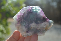 Polished One Side Polished Watermelon Fluorite Pieces  x 6 From Uis, Namibia - Toprock Gemstones and Minerals 
