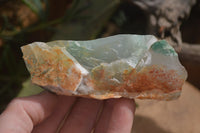 Natural Green Jade Cobbed Specimens x 12 From Swaziland
