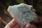 Natural Green Jade Cobbed Specimens x 12 From Swaziland - Toprock Gemstones and Minerals 