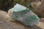 Natural Green Jade Cobbed Specimens x 12 From Swaziland - Toprock Gemstones and Minerals 