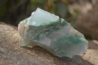 Natural Green Jade Cobbed Specimens x 12 From Swaziland