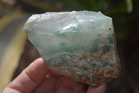 Natural Green Jade Cobbed Specimens x 12 From Swaziland