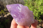 Natural Jacaranda Amethyst Crystals x 20 From Mumbwe, Zambia - Toprock Gemstones and Minerals 