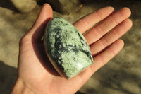 Polished Leopard stone Standing Free Forms  x 6 From Inyanga, Zimbabwe - Toprock Gemstones and Minerals 