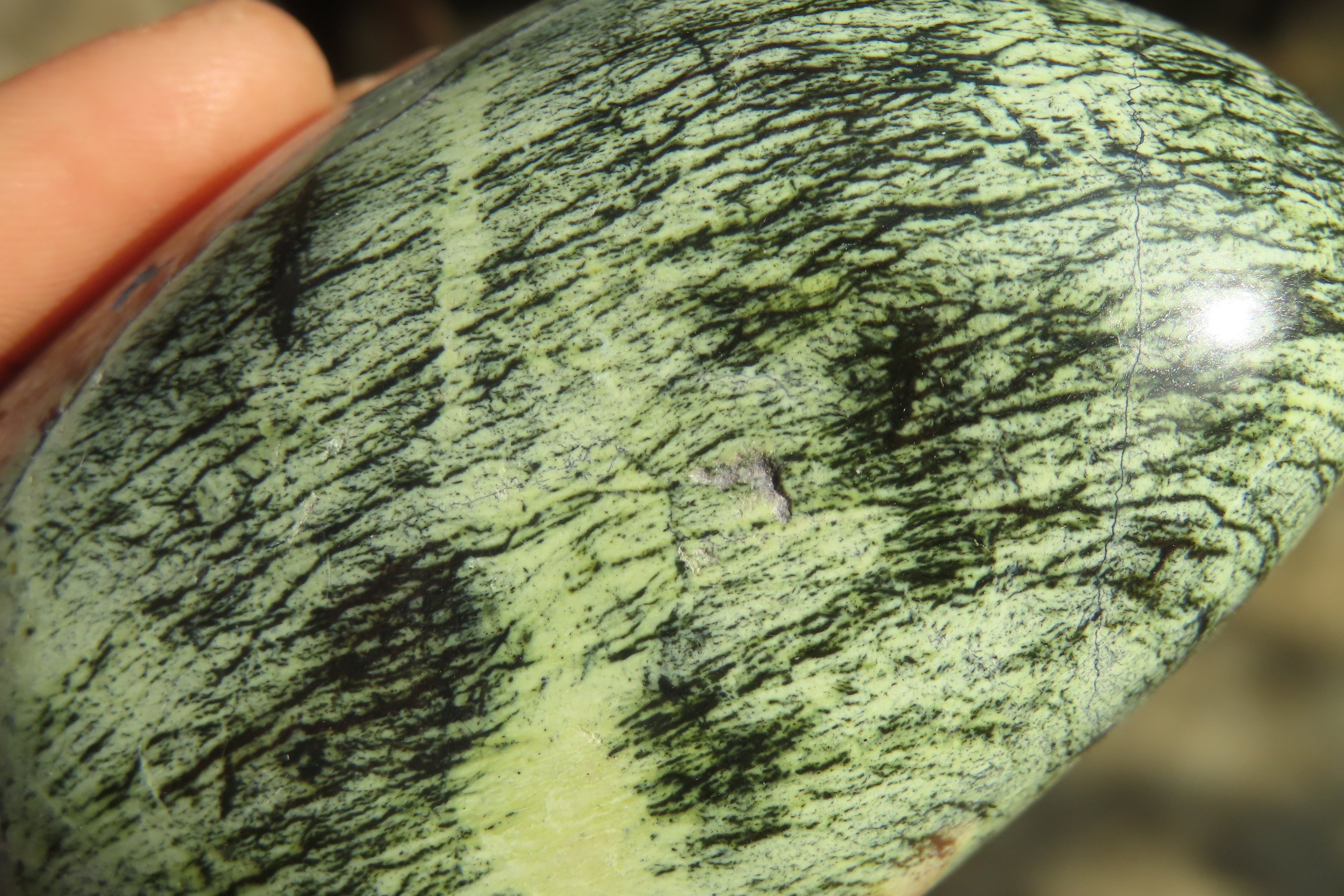 Polished Leopard stone Standing Free Forms  x 6 From Inyanga, Zimbabwe - Toprock Gemstones and Minerals 