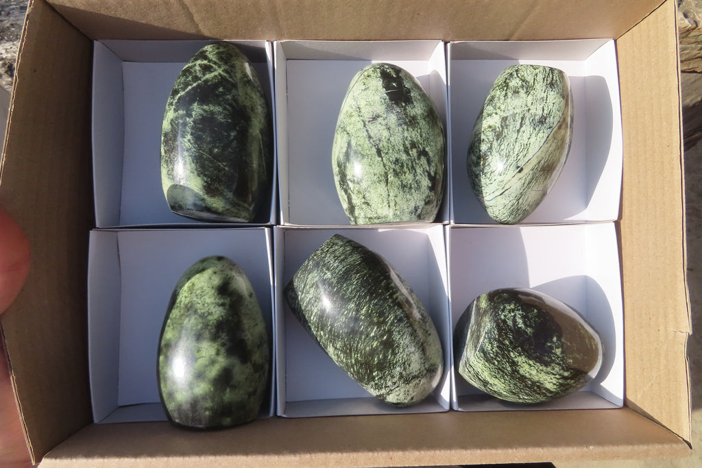 Polished Leopard stone Standing Free Forms  x 6 From Inyanga, Zimbabwe - Toprock Gemstones and Minerals 
