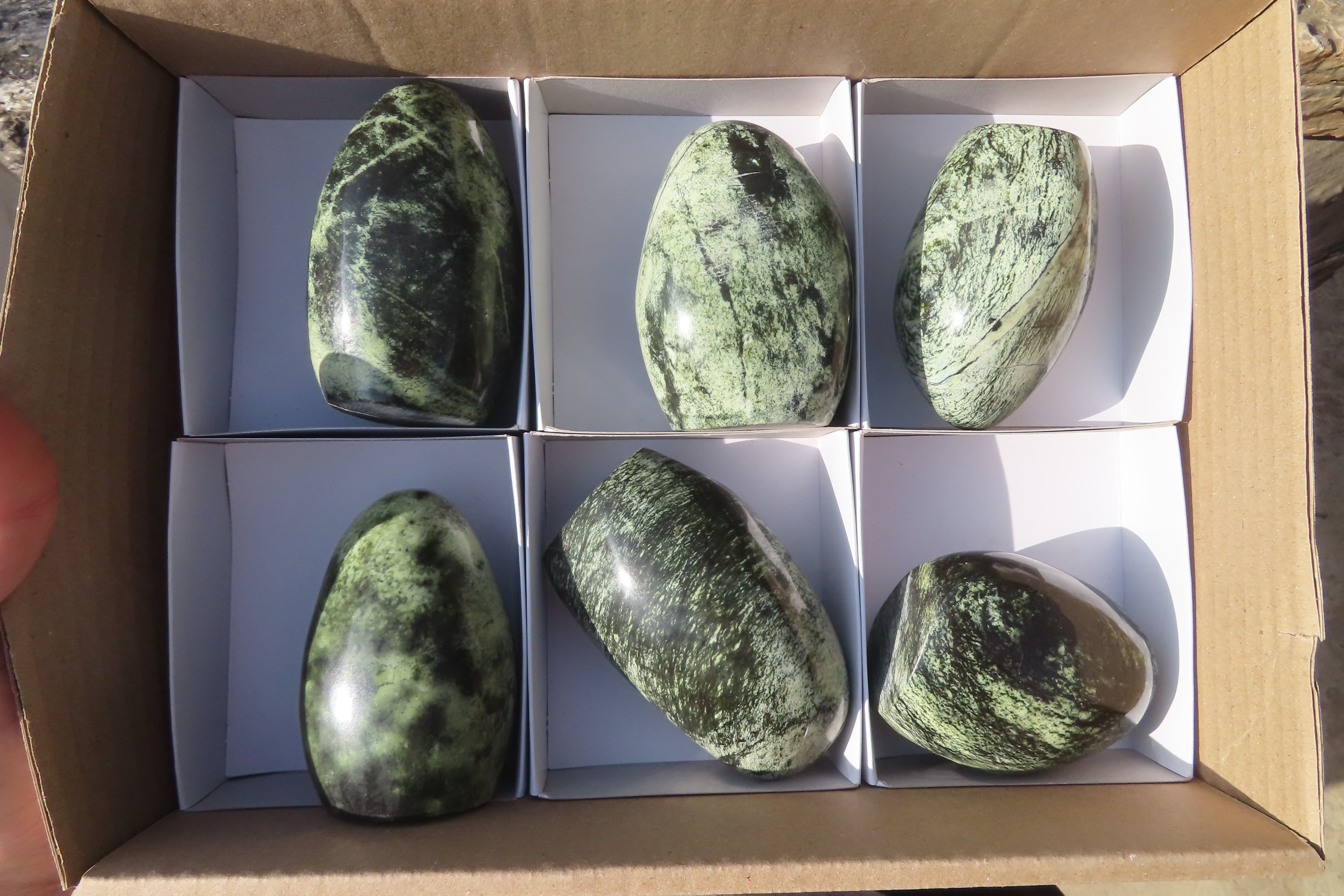 Polished Leopard stone Standing Free Forms  x 6 From Inyanga, Zimbabwe - Toprock Gemstones and Minerals 
