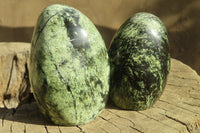 Polished Leopard stone Standing Free Forms  x 6 From Inyanga, Zimbabwe - Toprock Gemstones and Minerals 