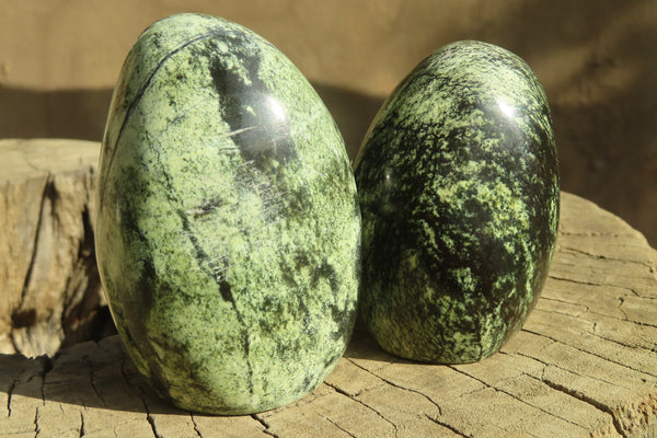 Polished Leopard stone Standing Free Forms  x 6 From Inyanga, Zimbabwe - Toprock Gemstones and Minerals 