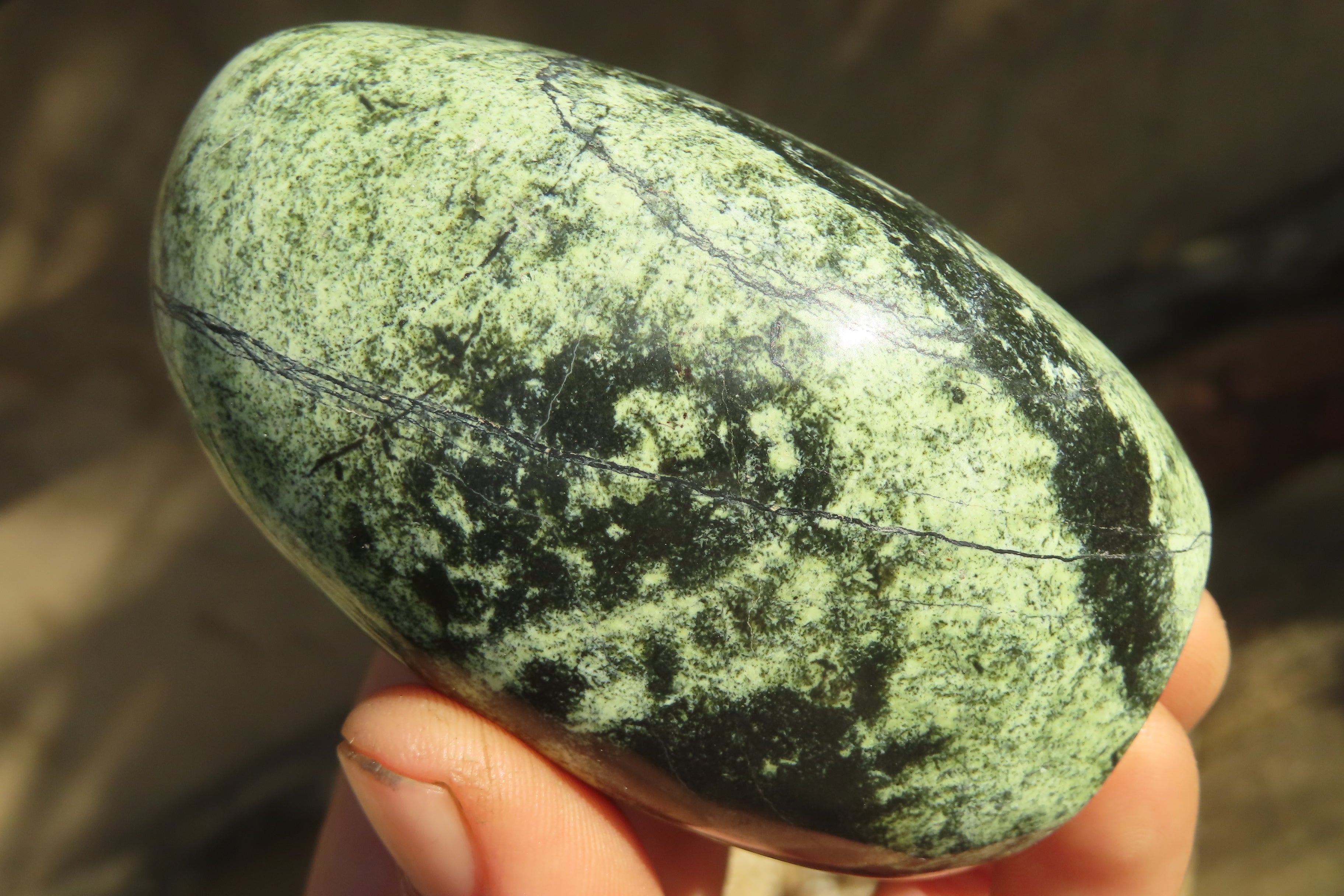 Polished Leopard stone Standing Free Forms  x 6 From Inyanga, Zimbabwe - Toprock Gemstones and Minerals 