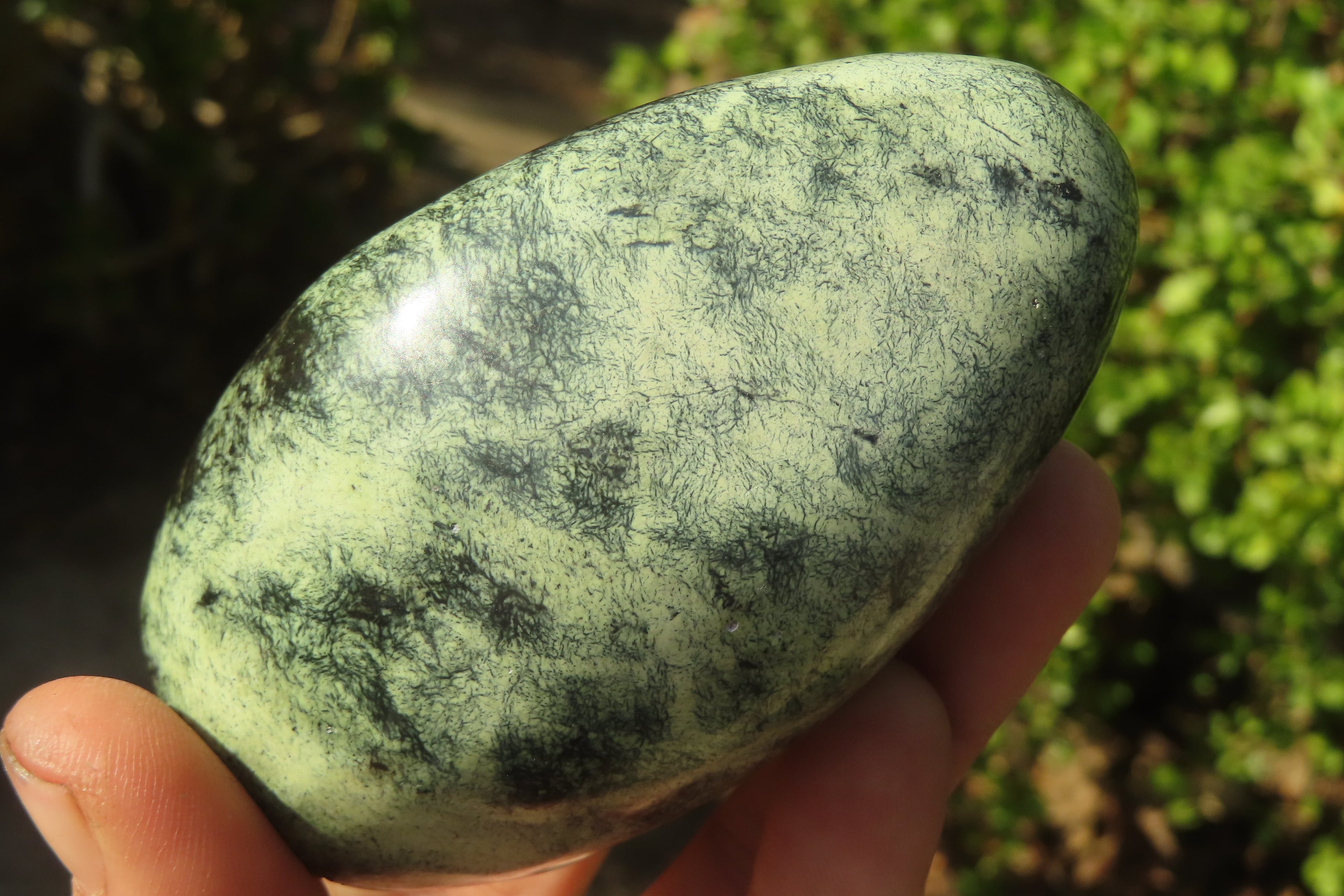 Polished Leopard stone Standing Free Forms  x 6 From Inyanga, Zimbabwe - Toprock Gemstones and Minerals 