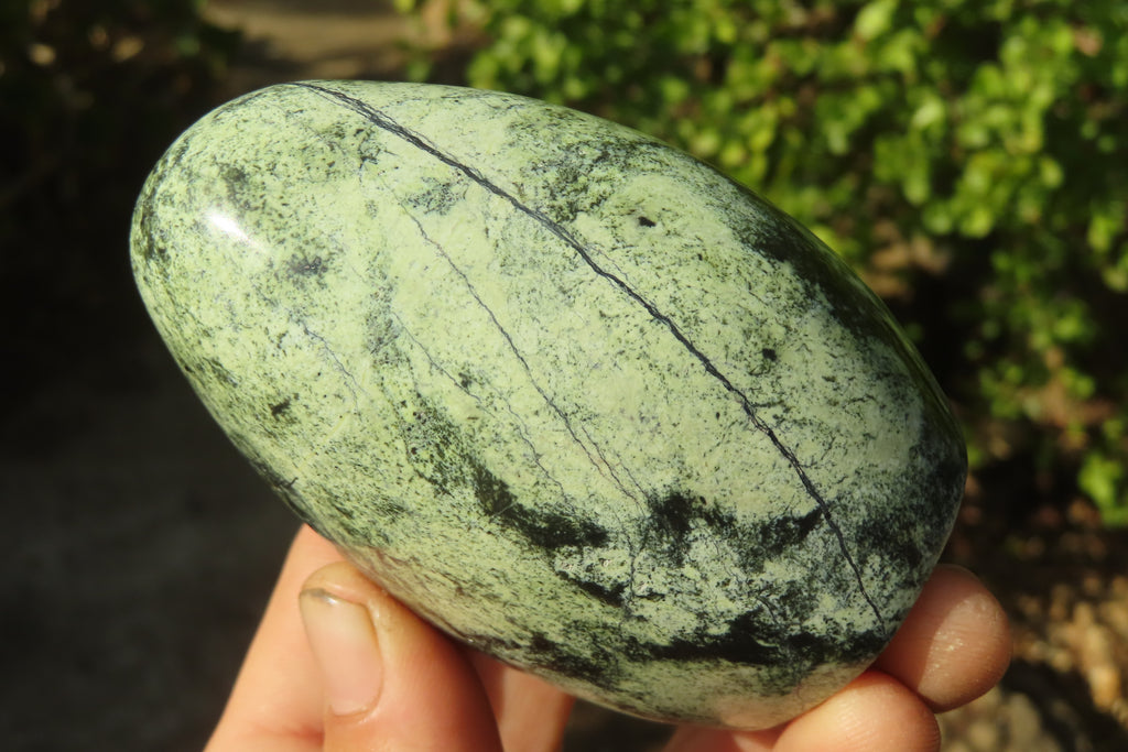 Polished Leopard stone Standing Free Forms  x 6 From Inyanga, Zimbabwe - Toprock Gemstones and Minerals 