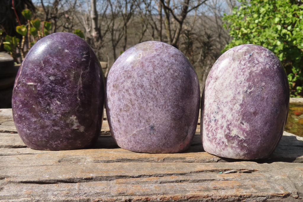 Polished Purple Lepidolite Free Forms  x 3 From Madagascar - Toprock Gemstones and Minerals 
