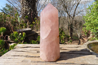 Polished Large Rose Quartz Point x 1 From Madagascar - Toprock Gemstones and Minerals 