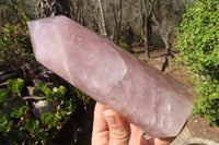 Polished Large Rose Quartz Point x 1 From Madagascar - Toprock Gemstones and Minerals 