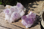 Natural Jacaranda Amethyst Clusters x 2 From Mumbwe, Zambia - Toprock Gemstones and Minerals 