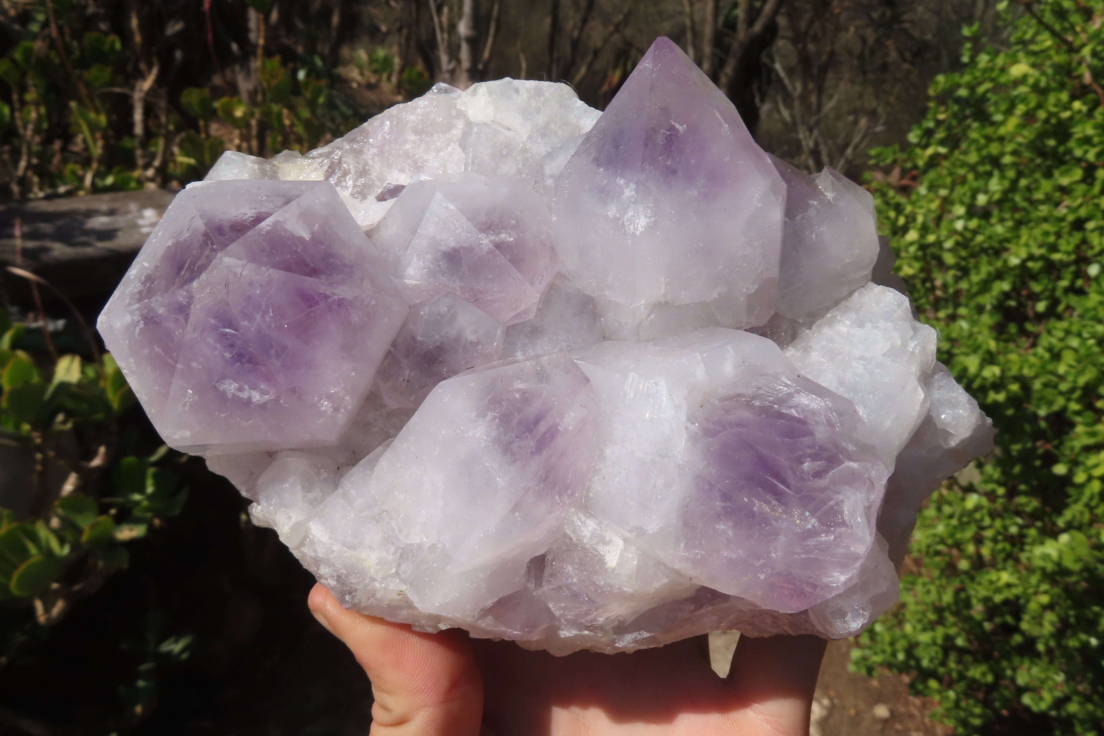 Natural Jacaranda Amethyst Clusters x 2 From Mumbwe, Zambia - Toprock Gemstones and Minerals 
