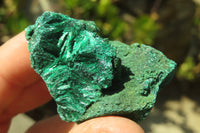 Natural Chatoyant Silky Malachite Specimens  x 12 From Kasompe, Congo - Toprock Gemstones and Minerals 