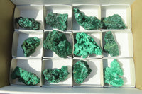 Natural Chatoyant Silky Malachite Specimens  x 12 From Kasompe, Congo - Toprock Gemstones and Minerals 
