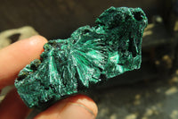 Natural Chatoyant Silky Malachite Specimens  x 12 From Kasompe, Congo - Toprock Gemstones and Minerals 