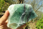 Polished One Side Polished Watermelon Fluorite Pieces  x 3 From Uis, Namibia - Toprock Gemstones and Minerals 