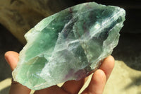 Polished One Side Polished Watermelon Fluorite Pieces  x 3 From Uis, Namibia - Toprock Gemstones and Minerals 