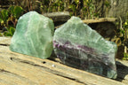 Polished One Side Polished Watermelon Fluorite Pieces  x 3 From Uis, Namibia - Toprock Gemstones and Minerals 