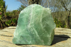 Polished One Side Polished Watermelon Fluorite Pieces  x 3 From Uis, Namibia - Toprock Gemstones and Minerals 