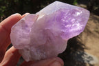 Natural Jacaranda Amethyst Crystals x 6 From Mumbwe, Zambia - Toprock Gemstones and Minerals 