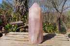 Polished Rose Quartz Points x 3 From Madagascar - Toprock Gemstones and Minerals 