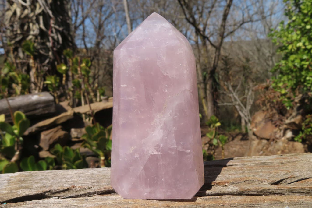 Polished Rose Quartz Points x 3 From Madagascar - Toprock Gemstones and Minerals 