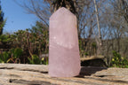 Polished Rose Quartz Points x 3 From Madagascar - Toprock Gemstones and Minerals 